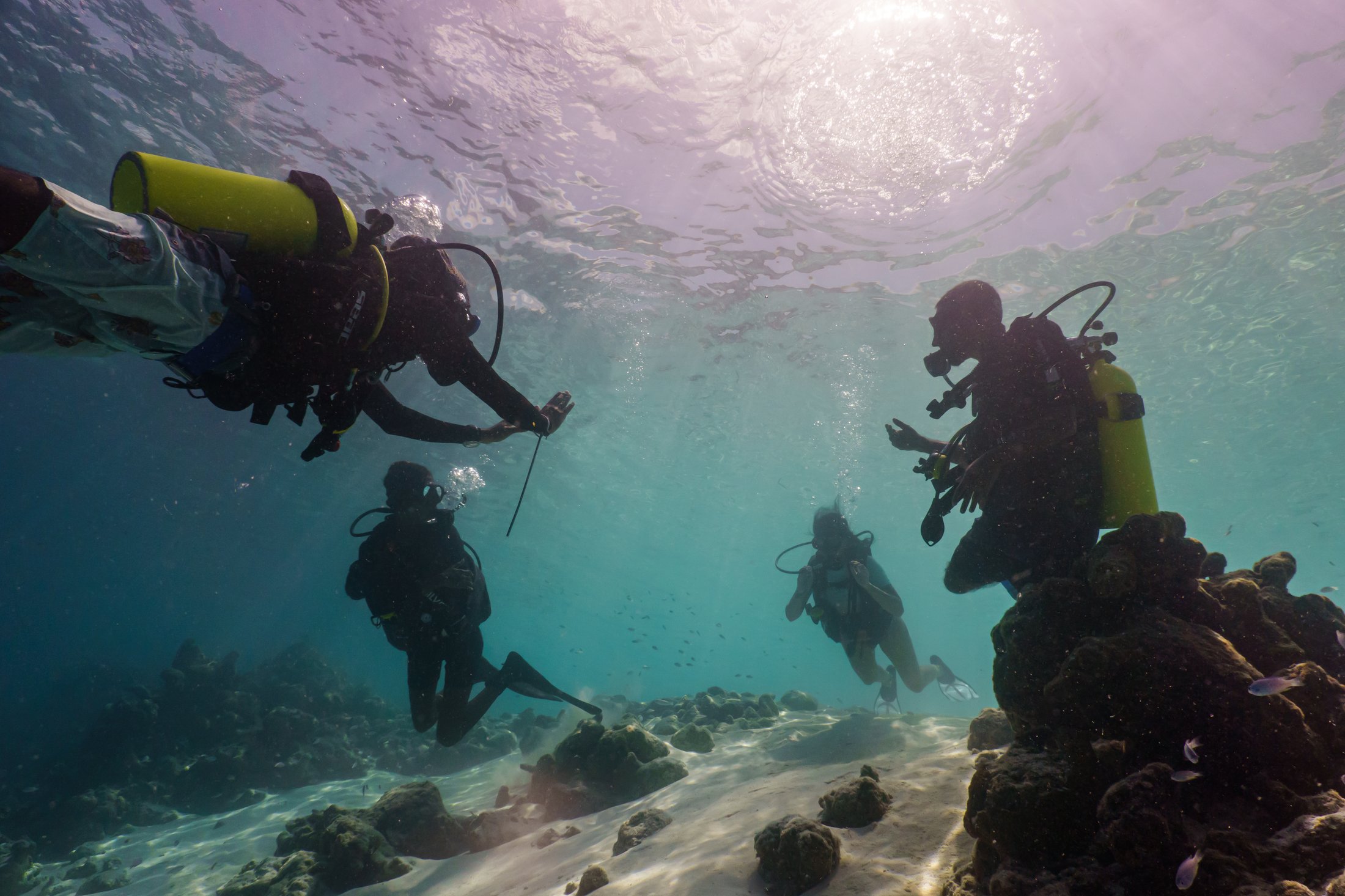 Iru Veli Dive Centre